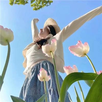 太一剑仙传